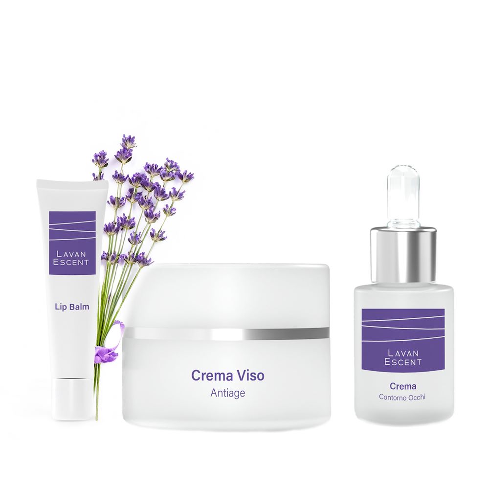 Timeless Essentials Lavanescent