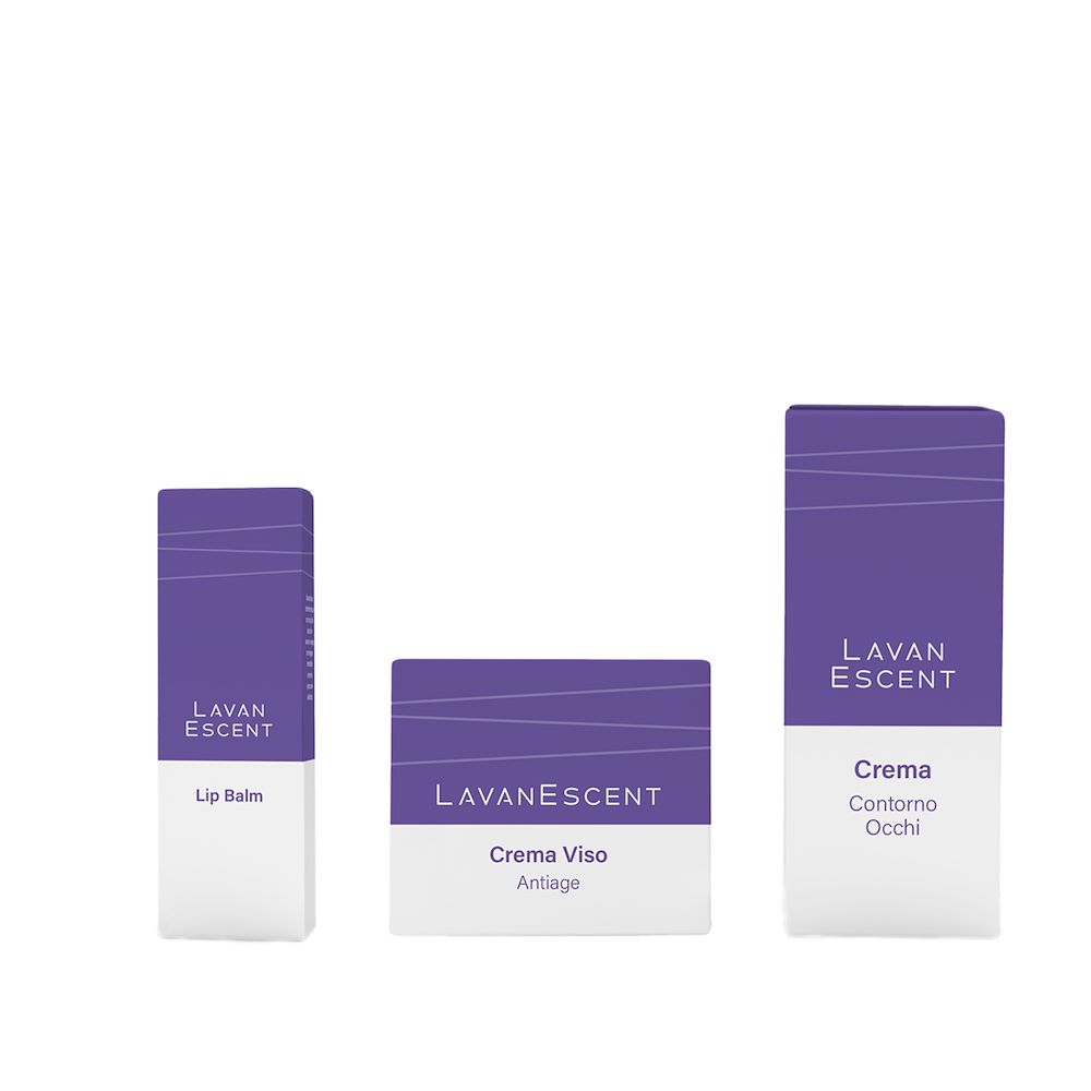 Timeless Essentials Lavanescent