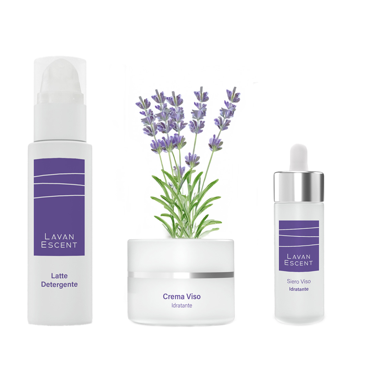 Face Ritual Lavanescent